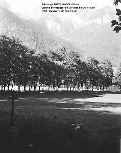 1953 campagne de Chartreuse